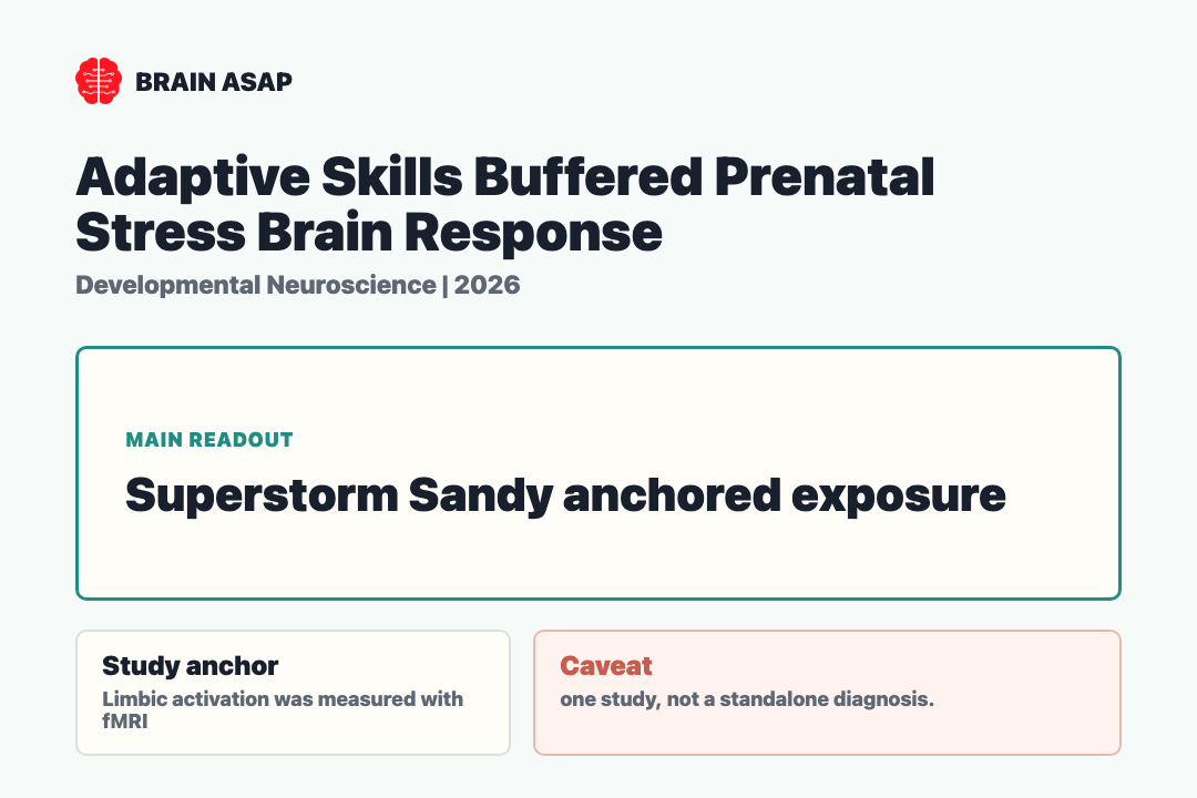 Brain ASAP visual summary for adaptive skills buffered prenatal stress brain response
