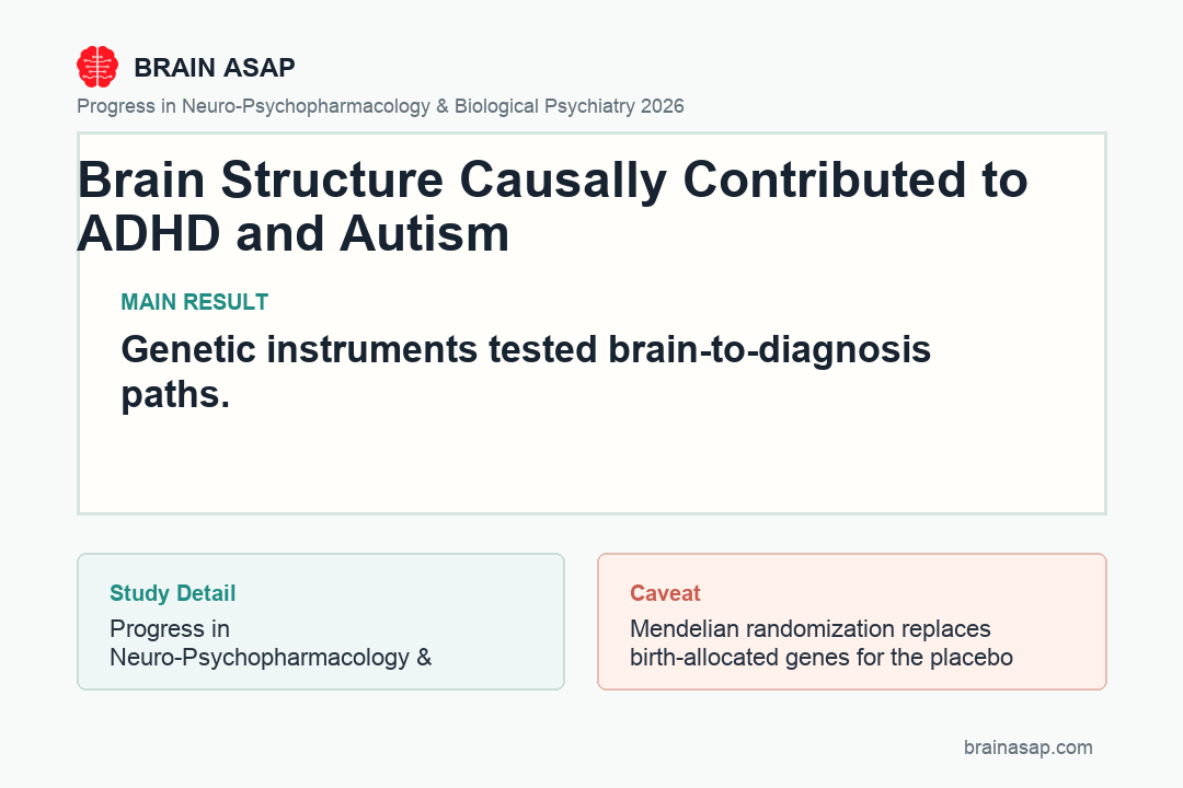 Diagram showing the brain regions and white matter tracts identified by Mendelian randomization as causal contributors to ADHD and autism risk