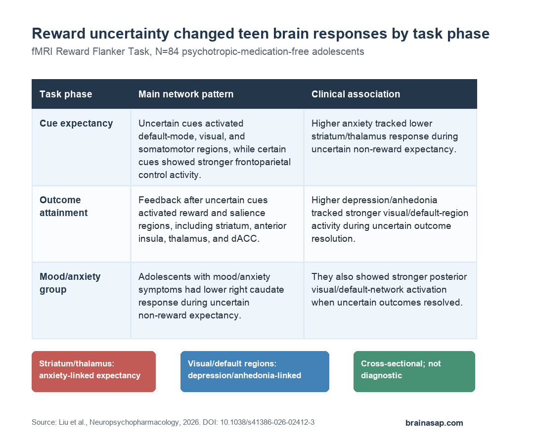 BrainASAP inline figure summarizing adolescent reward uncertainty fMRI findings by task phase