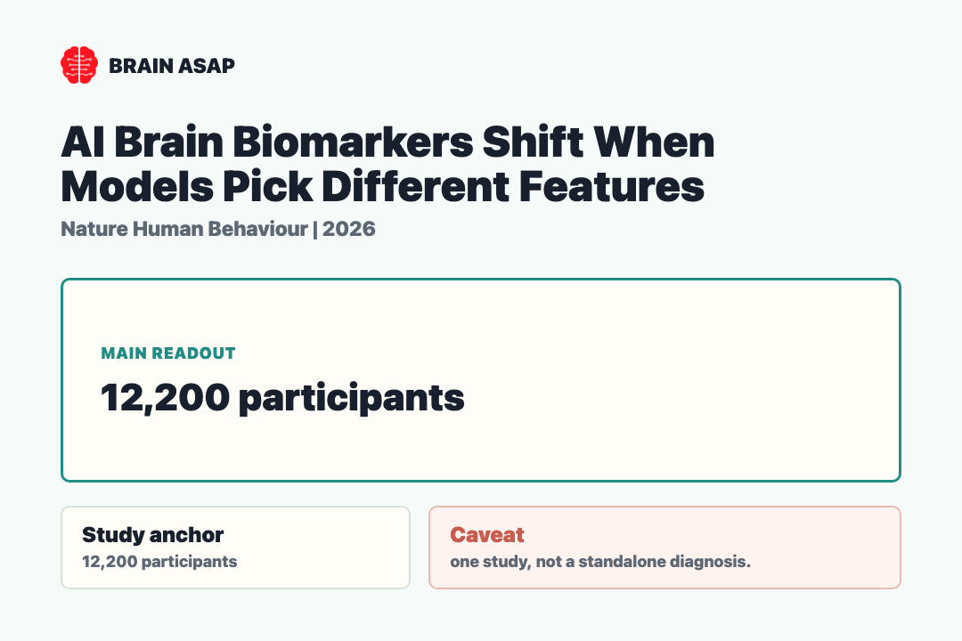Brain ASAP visual summary for AI Brain Biomarkers Shift When Models Pick Different Features