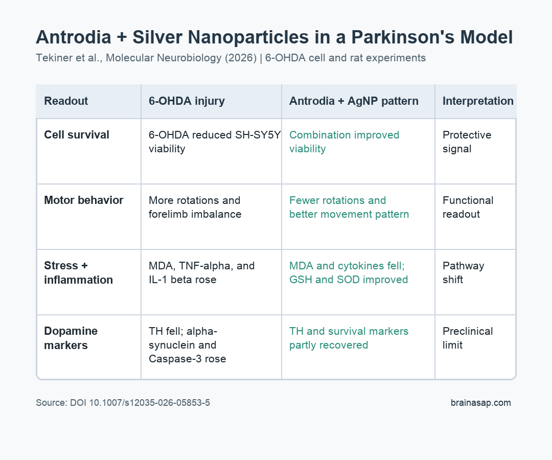 Plain table summarizing Antrodia cinnamomea silver nanoparticle effects in Parkinson's disease models