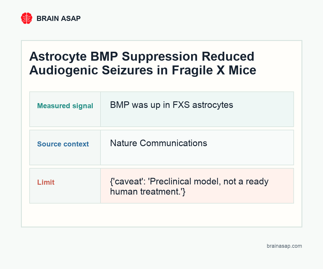 Brain ASAP visual summary for astrocyte bmp suppression eased fragile x signals