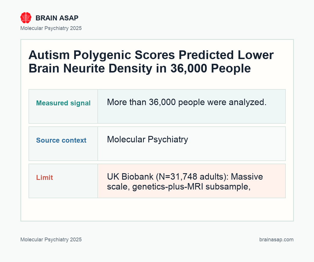 BrainASAP inline figure for Autism Polygenic Scores Predicted Lower Brain Neurite Density in 36,000 People