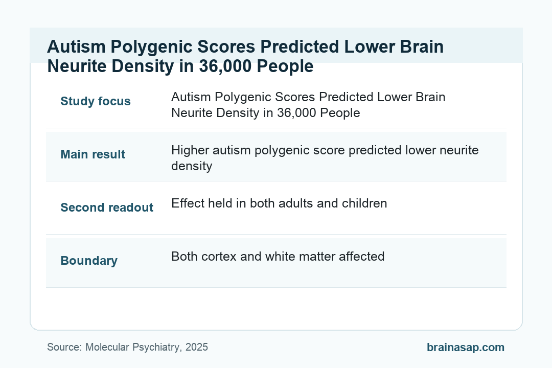 BrainASAP inline figure for Autism Polygenic Scores Predicted Lower Brain Neurite Density in 36,000 People