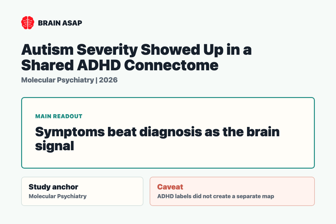 Brain ASAP visual summary for Autism Severity Showed Up in a Shared ADHD Connectome