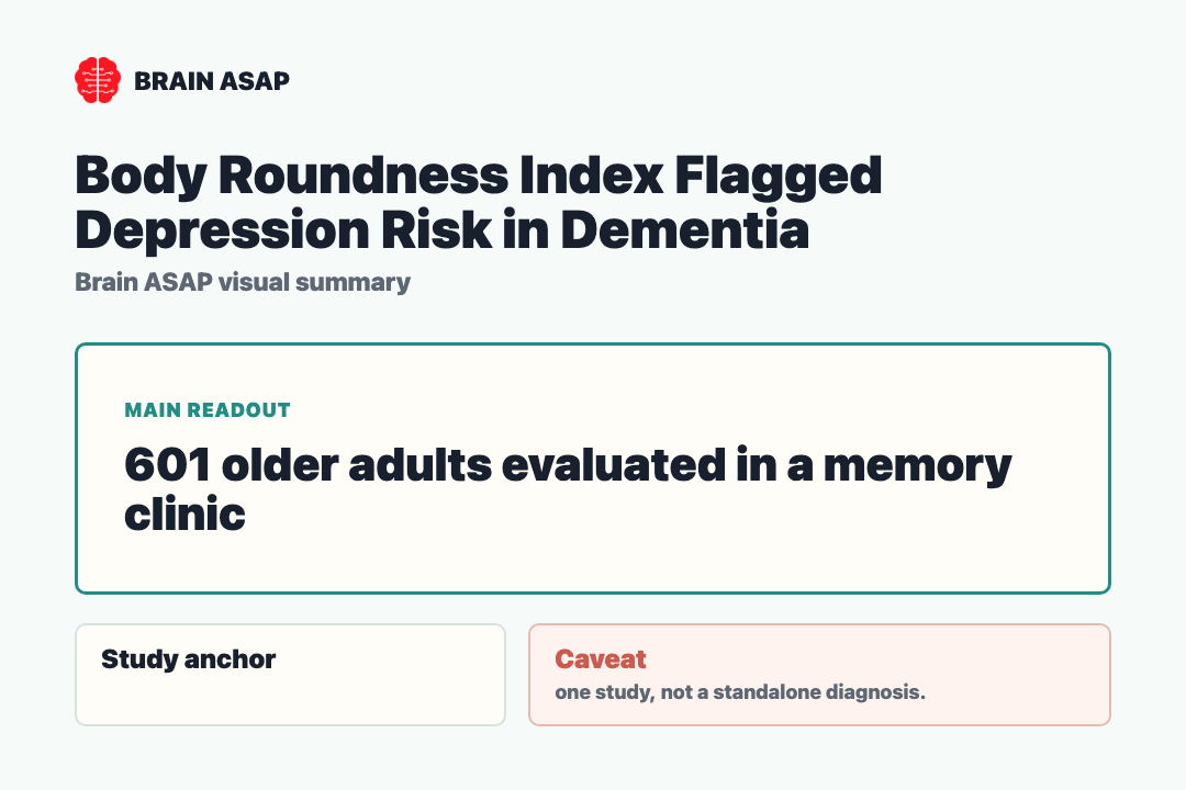 Brain ASAP visual summary for body roundness index flagged depression risk in dementia