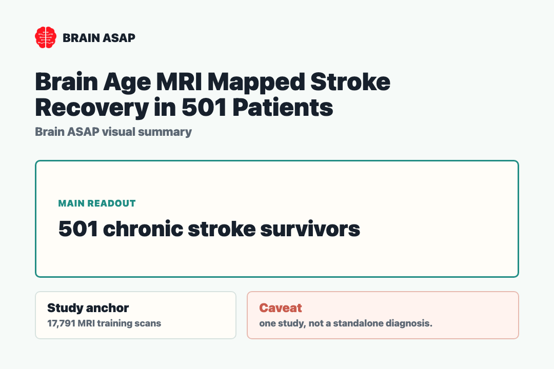 Brain ASAP visual summary for Brain Age MRI Mapped Stroke Recovery in 501 Patients