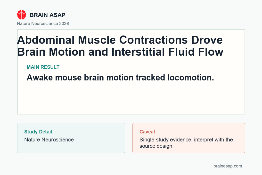 BrainASAP inline figure for Abdominal Muscle Contractions Drove Brain Motion and Interstitial Fluid Flow in Awake Mice