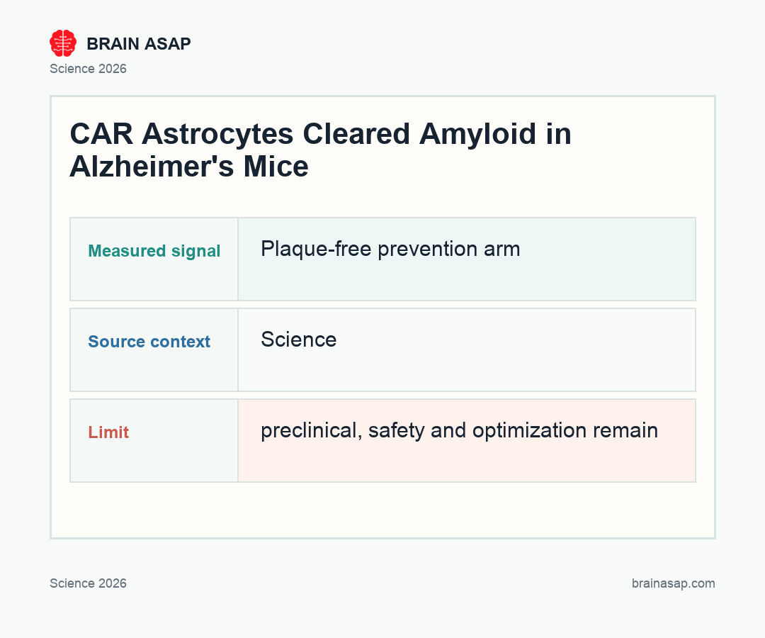 Brain ASAP visual summary for car astrocytes cleared amyloid in alzheimers mice