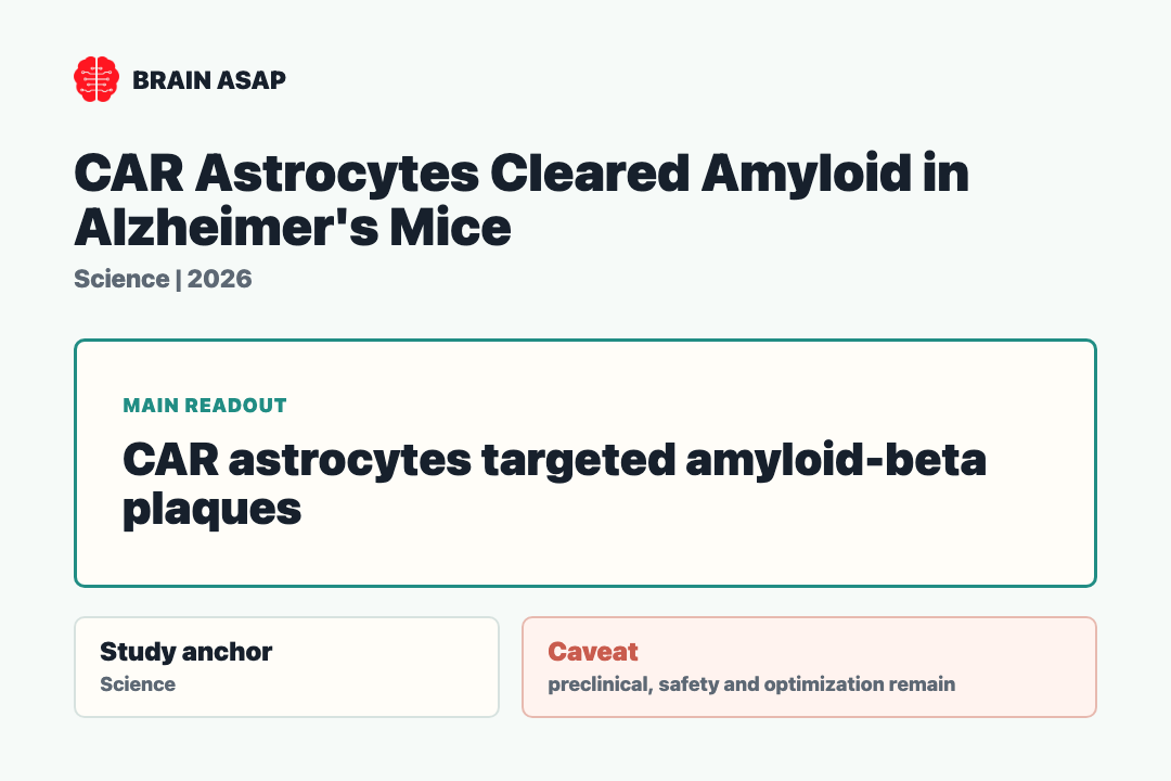 Brain ASAP visual summary for car astrocytes cleared amyloid in alzheimers mice