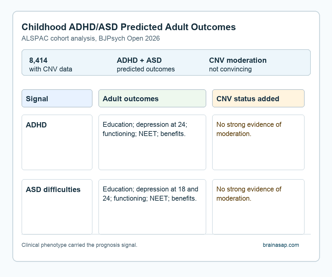 Simple matrix showing childhood ADHD and ASD predicting adult outcomes while rare CNVs did not clearly moderate those links