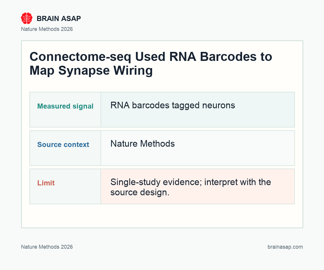 Brain ASAP visual summary for Connectome-seq barcode mapping of synapses