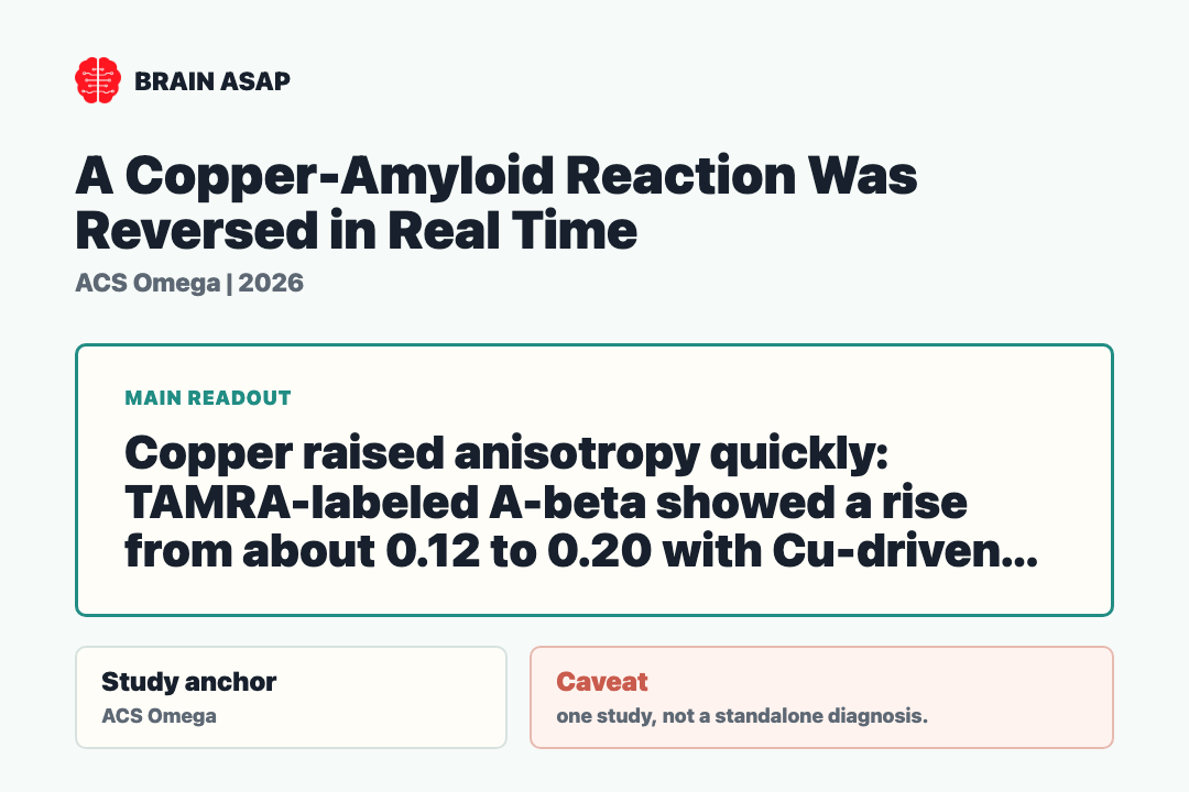 Brain ASAP visual summary for copper amyloid aggregation reversal