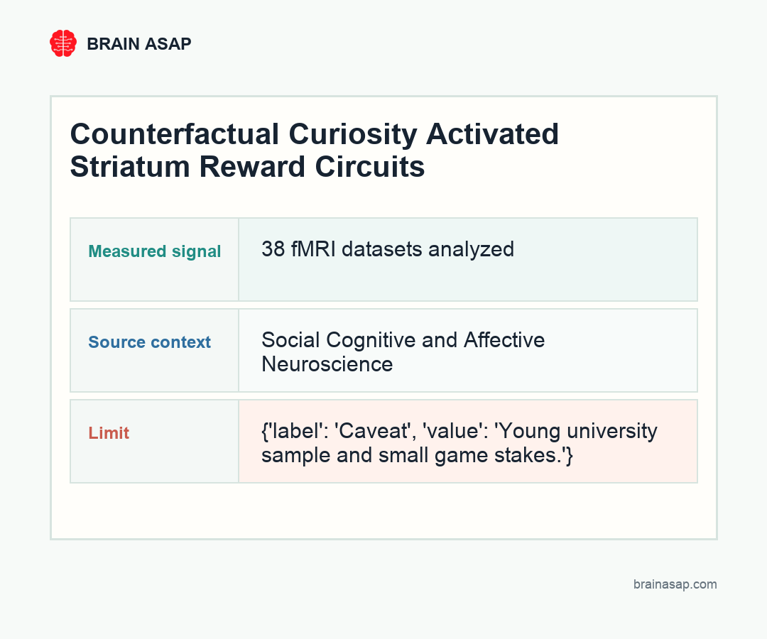 Brain ASAP visual summary for counterfactual curiosity lit up the striatum