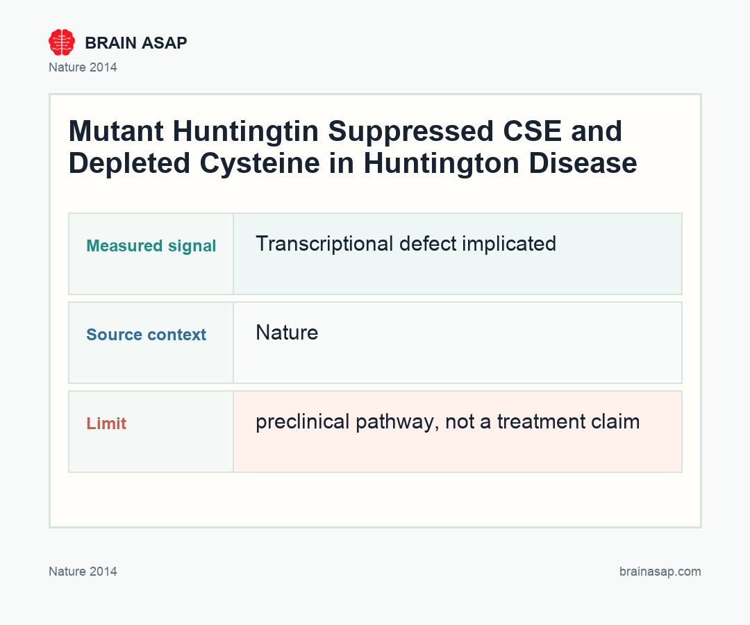 Brain ASAP visual summary for cse loss exposed a huntington neurodegeneration route