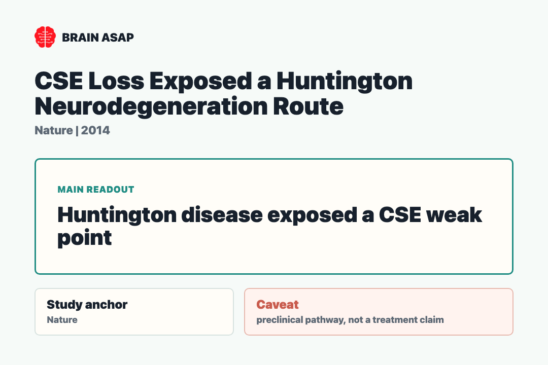 Brain ASAP visual summary for cse loss exposed a huntington neurodegeneration route