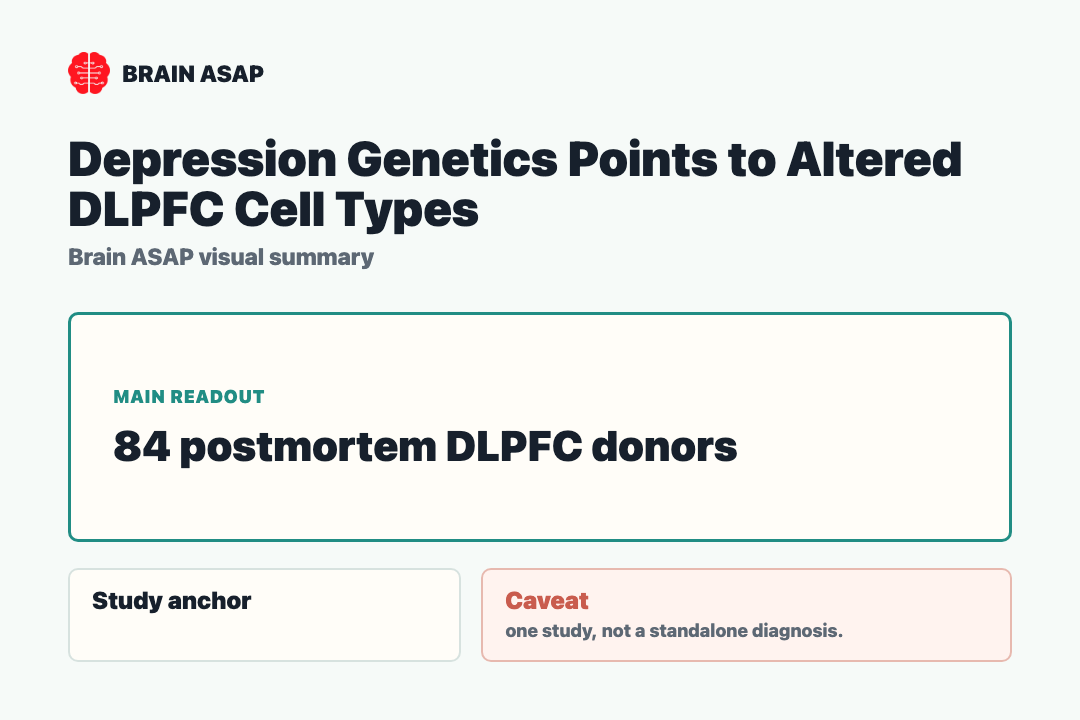 Brain ASAP visual summary for Depression Genetics Points to Altered DLPFC Cell Types