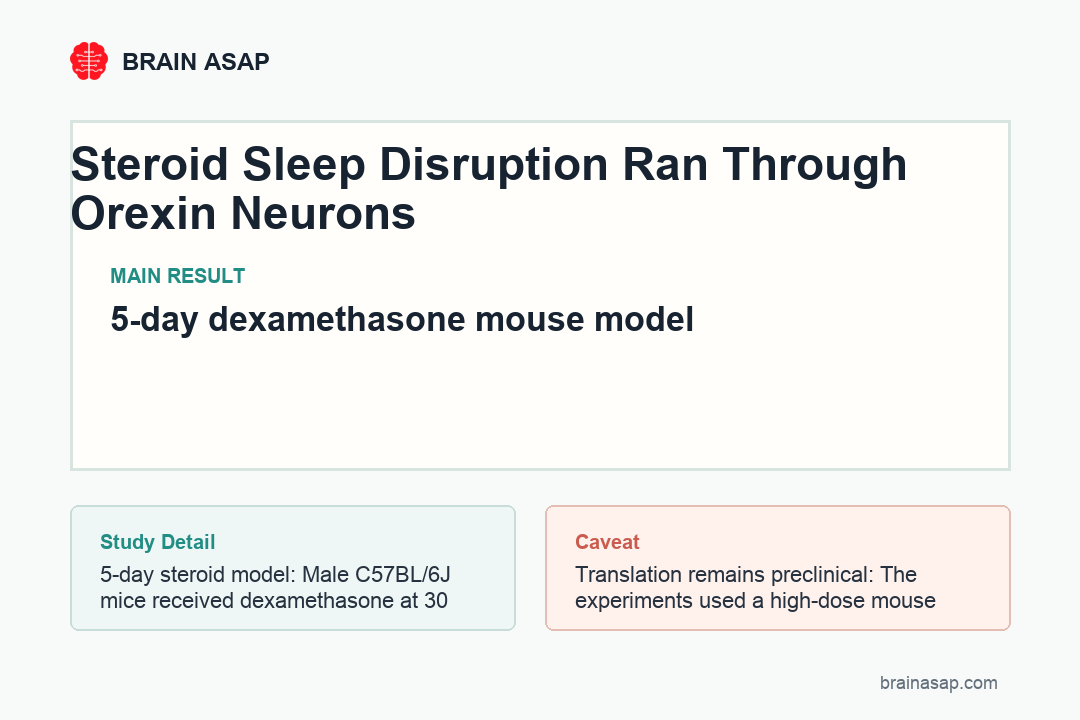 Simple table summarizing dexamethasone sleep disruption, orexin activation, and drug reversal in mice