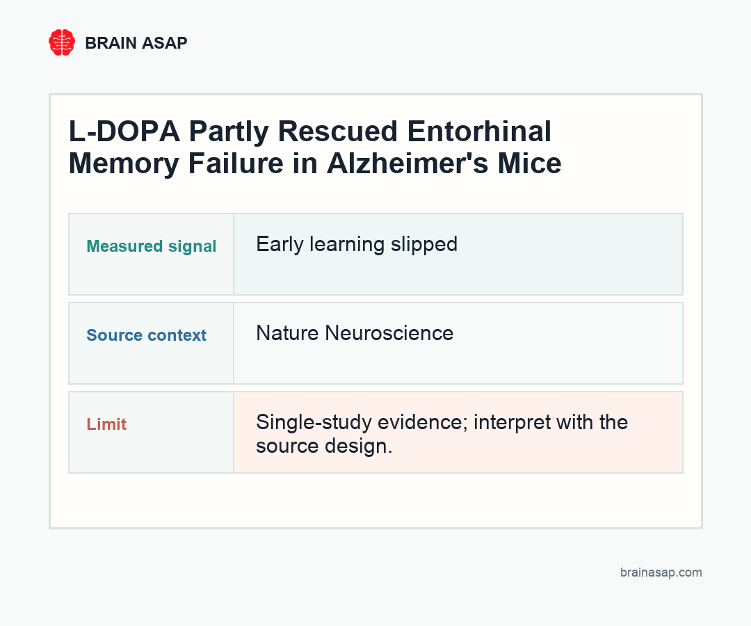 Brain ASAP visual summary for Dopamine Disruption May Start Alzheimer's Memory Failure