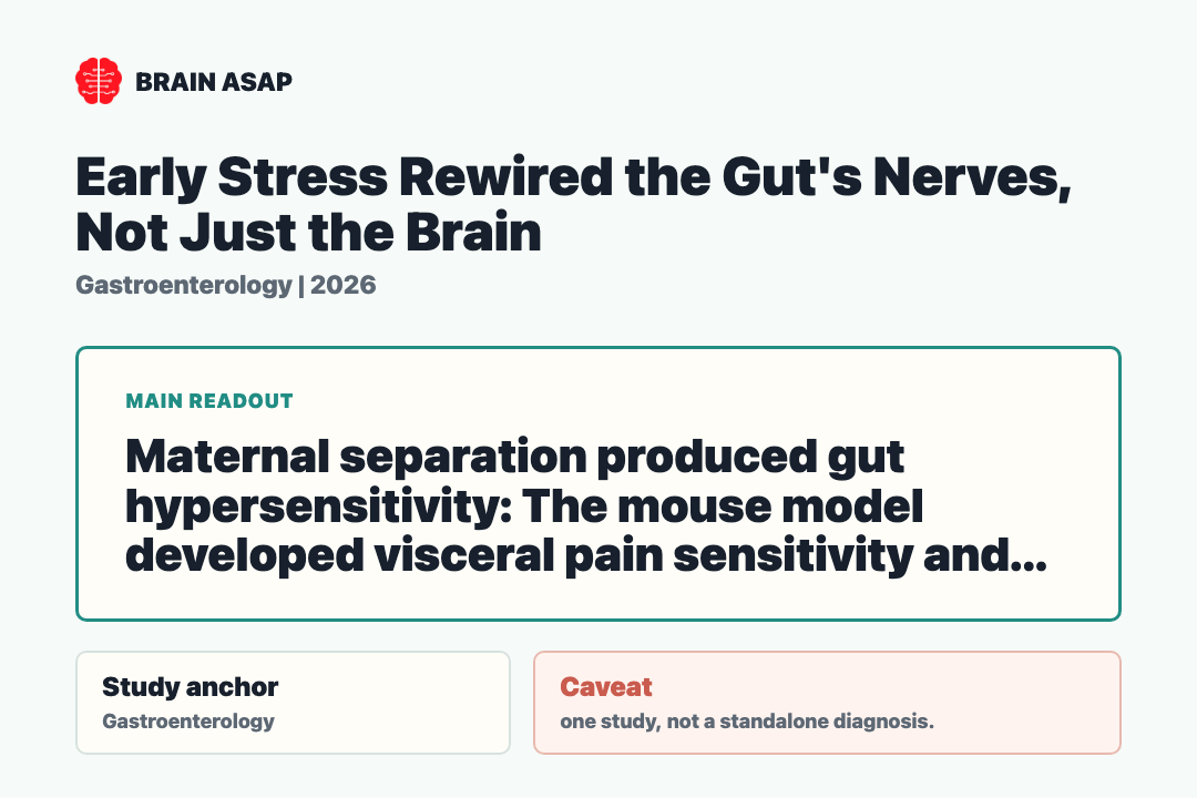 Brain ASAP visual summary for early life stress gut motility pain