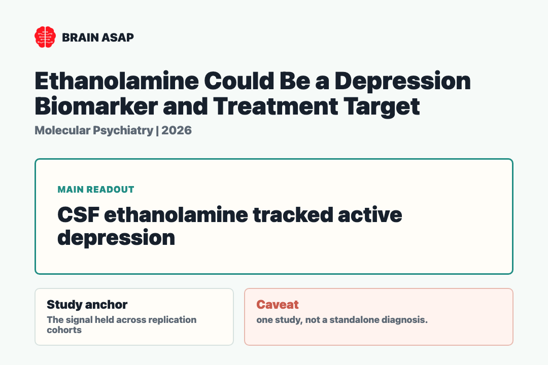 CSF ethanolamine findings in active depression, ECT treatment, and replication samples