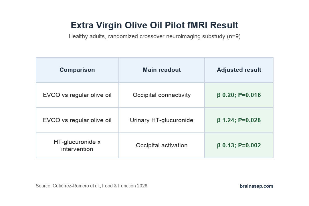Simple table summarizing EVOO effects on occipital connectivity, urinary hydroxytyrosol-glucuronide, and the metabolite by intervention interaction