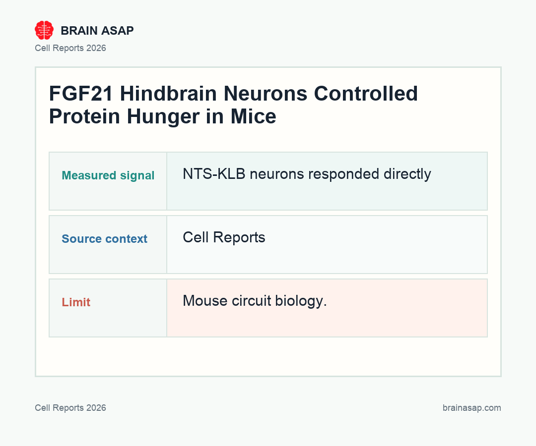 Brain ASAP visual summary for fgf21 hindbrain neurons controlled protein hunger