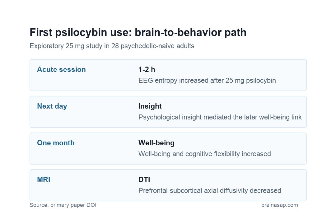 Psilocybin brain and psychological changes over one month
