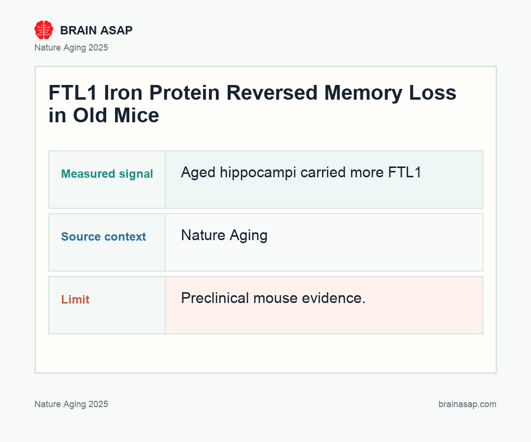 Brain ASAP visual summary for ftl1 iron protein reversed old mouse memory loss