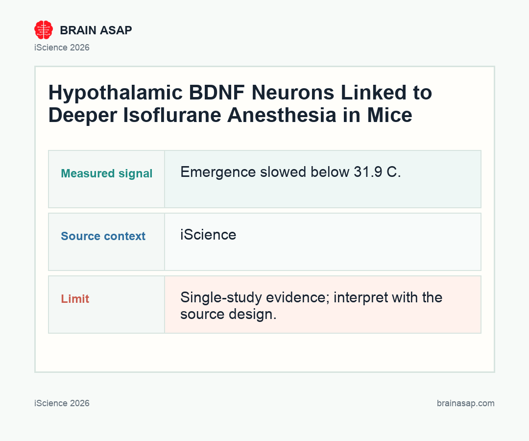 BrainASAP inline figure for Hypothalamic LPO-BDNF Neurons Deepened Anesthesia and DMH Glutamate Neurons Accelerated Emergence in Mice