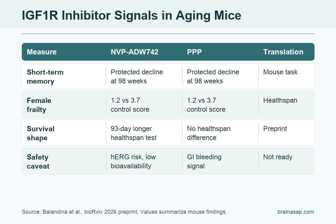 Simple matrix showing key mouse healthspan findings and safety caveats for IGF1R inhibitors