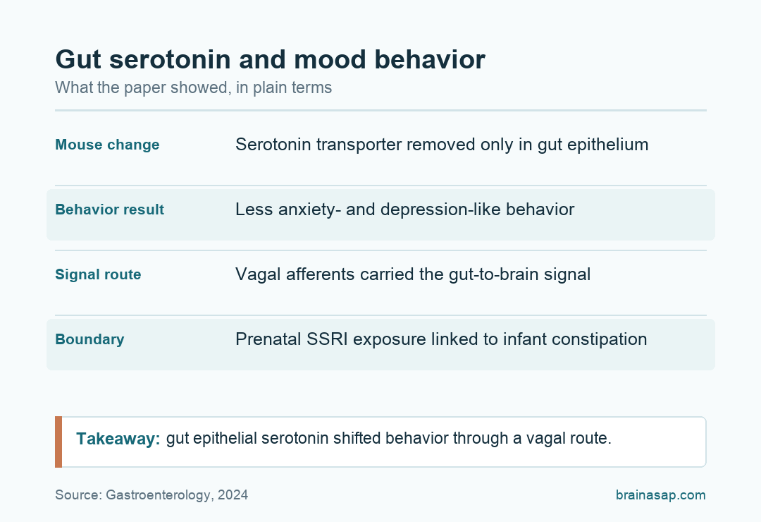 Plain table summarizing gut epithelial serotonin, vagal signaling, mood behavior, and SSRI boundary finding