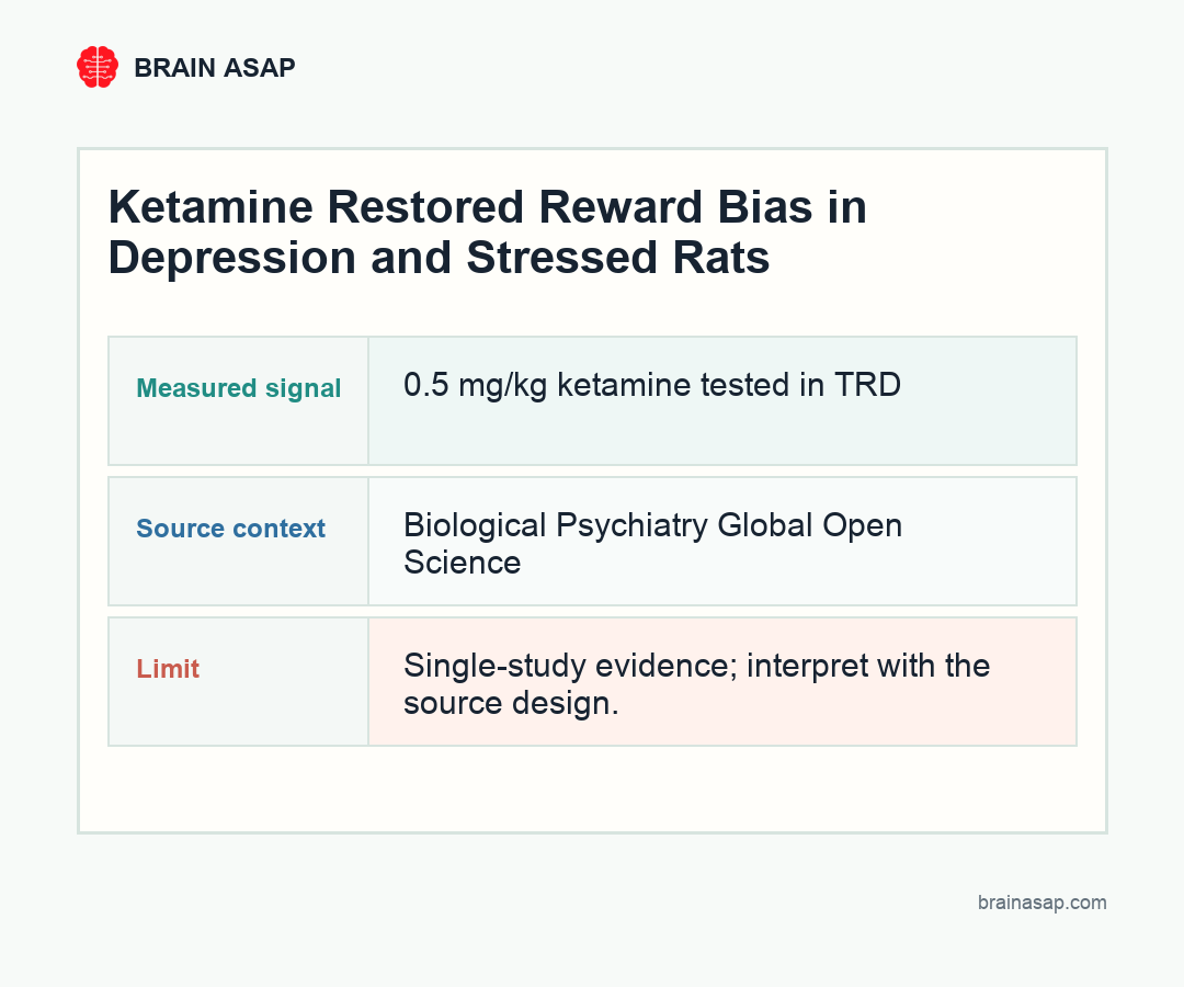 Brain ASAP visual summary for ketamine restored reward bias across species