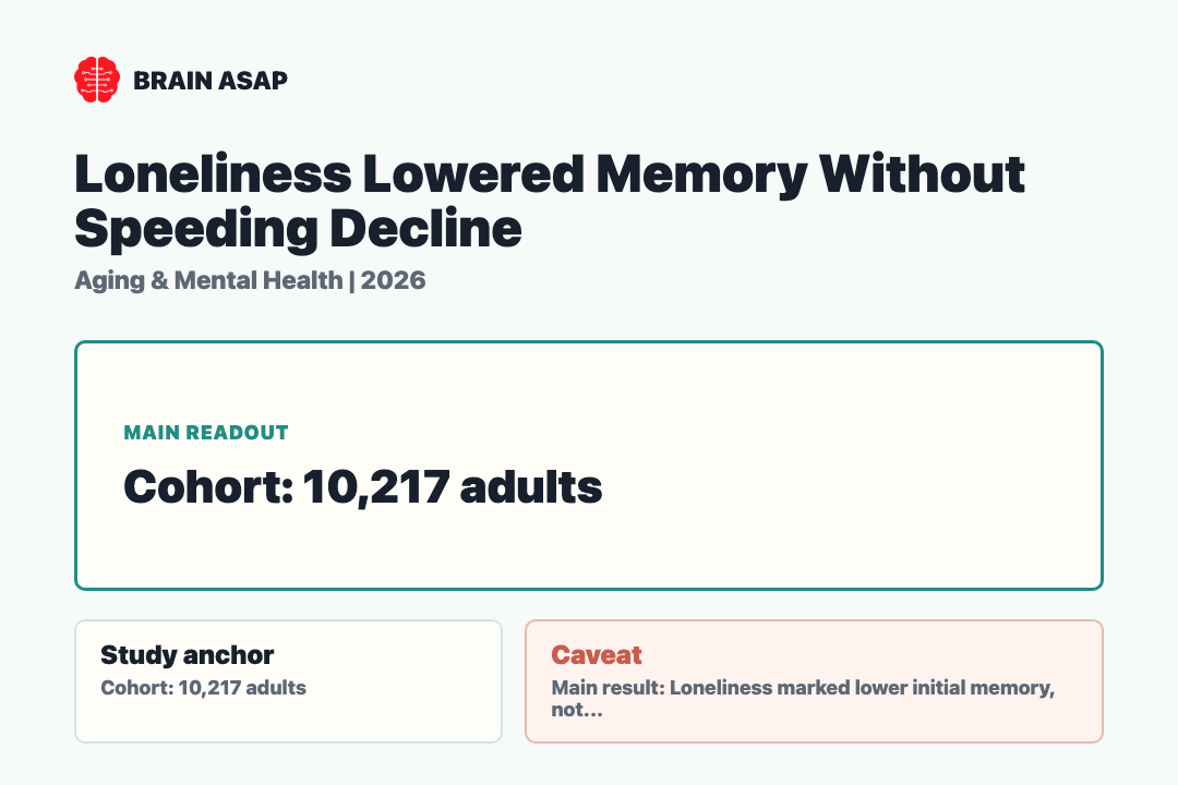 Brain ASAP visual summary for loneliness lowered memory without speeding decline