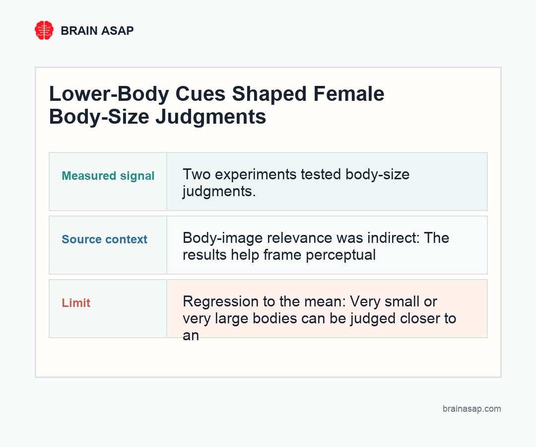 Brain ASAP visual summary comparing whole-body, bottom-half, and thigh-only body-size judgment cues