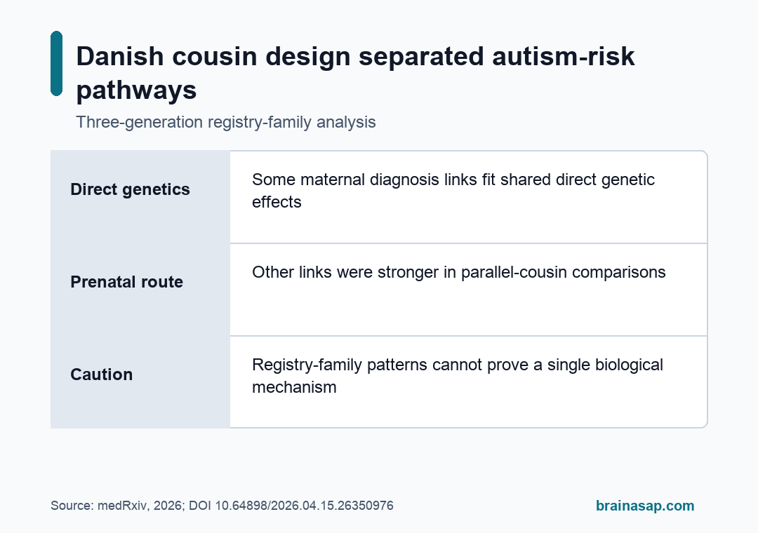 Simple visual summary for Maternal Health Autism Links Were Partly Genetic in Danish Families