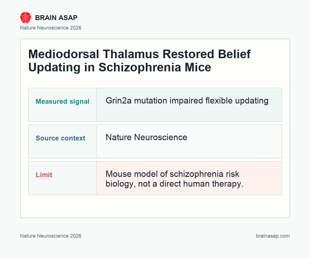 Brain ASAP visual summary for mediodorsal thalamus belief updating schizophrenia mice