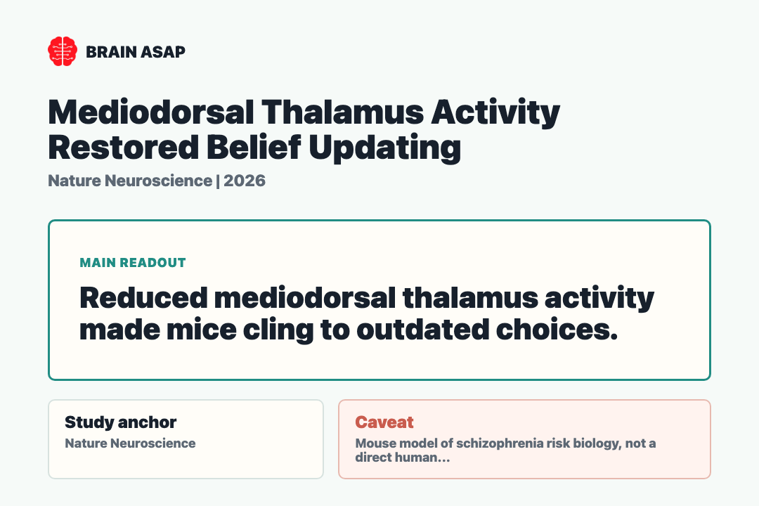Brain ASAP visual summary for mediodorsal thalamus, belief updating, and Grin2a schizophrenia model