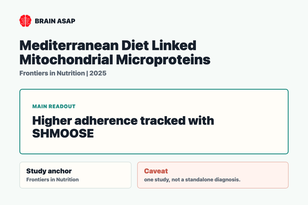 Brain ASAP visual summary for Mediterranean diet and mitochondrial microproteins