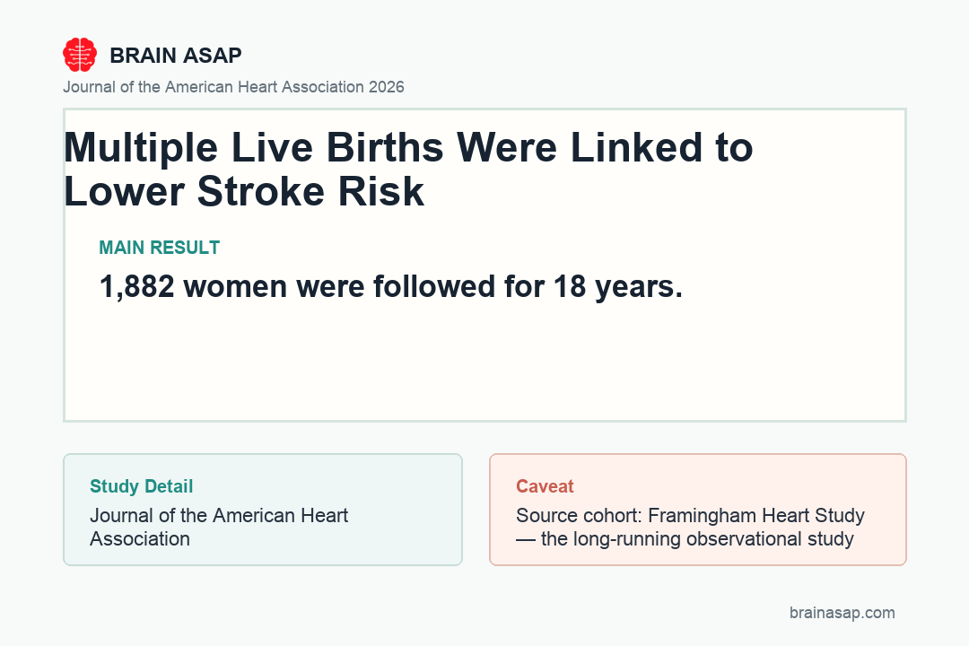 Comparison of stroke risk and MRI vascular injury markers across reproductive factors, with three-or-more live births showing the only significant association