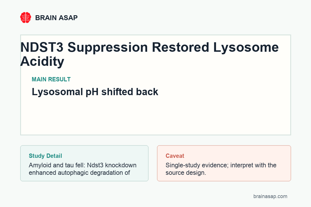 Simple table showing NDST3 suppression effects on lysosomal pH, autolysosomes, amyloid tau pathology, and memory tests in Alzheimer models
