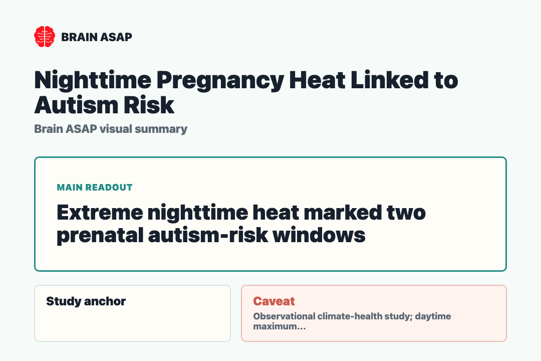 Brain ASAP visual summary for nighttime pregnancy heat linked to autism risk