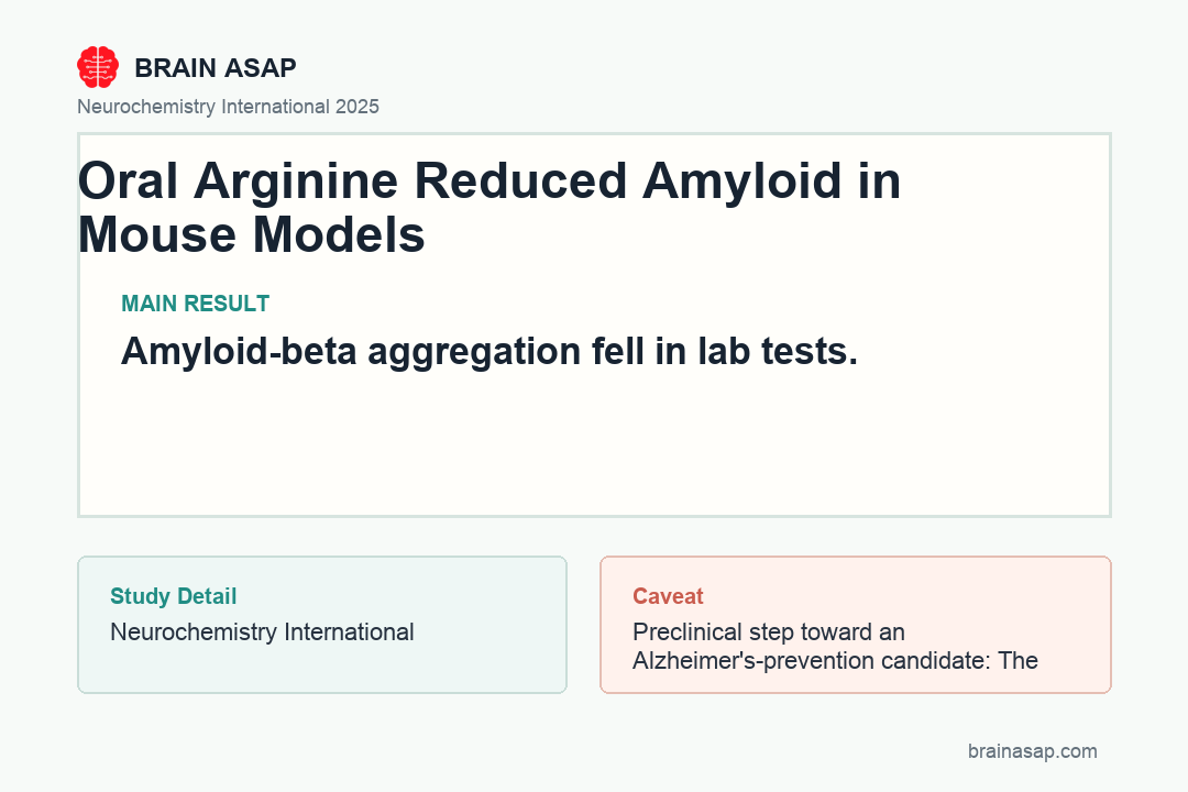 Two-step diagram showing arginine blocking amyloid-beta aggregation in lab tests and reducing amyloid accumulation in two mouse models of Alzheimer's disease