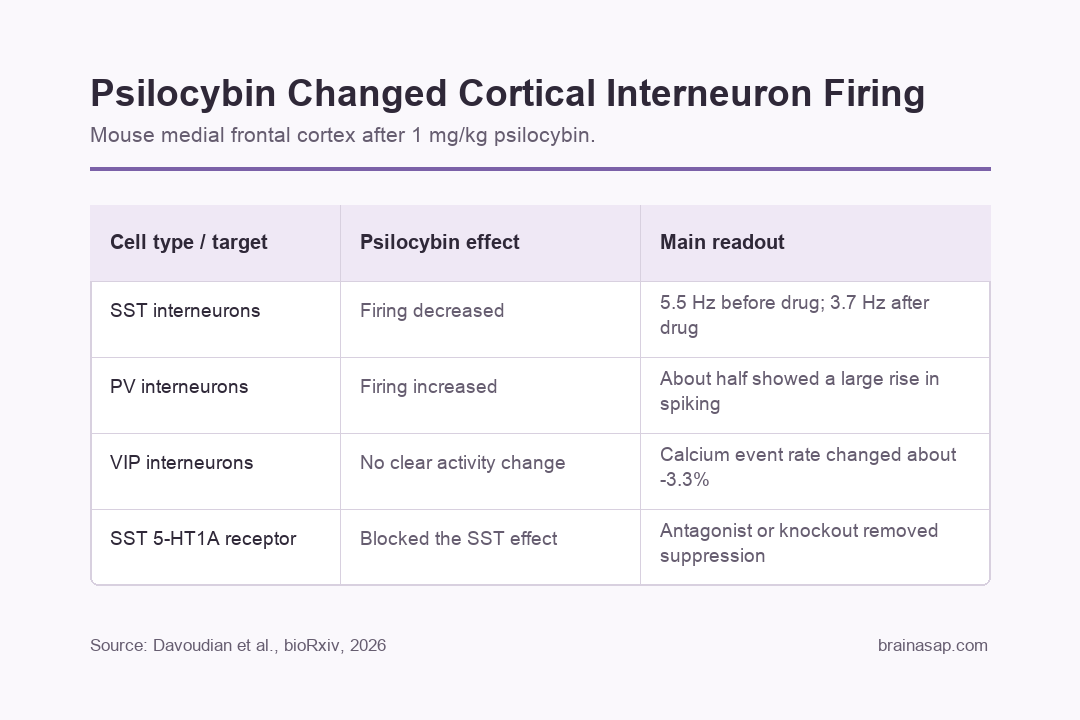 Simple comparison table showing psilocybin effects on SST, PV, and VIP interneurons in mouse medial frontal cortex
