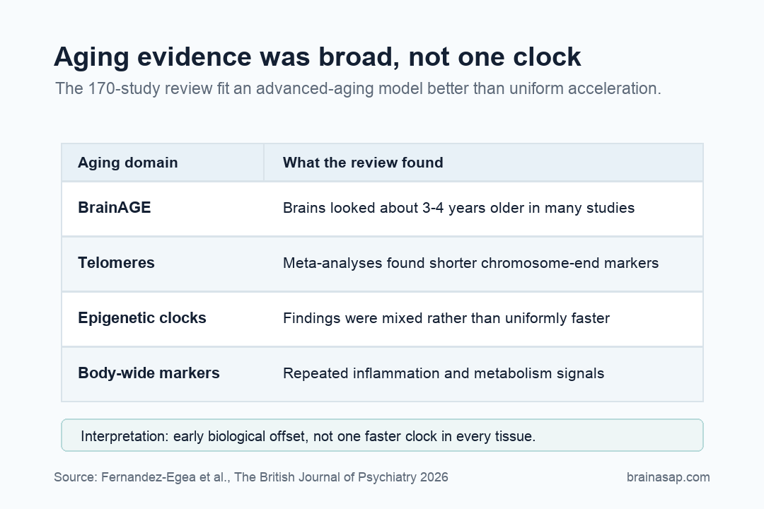 Evidence matrix summarizing brain age, telomere, epigenetic clock, inflammation, and metabolism findings in schizophrenia aging studies