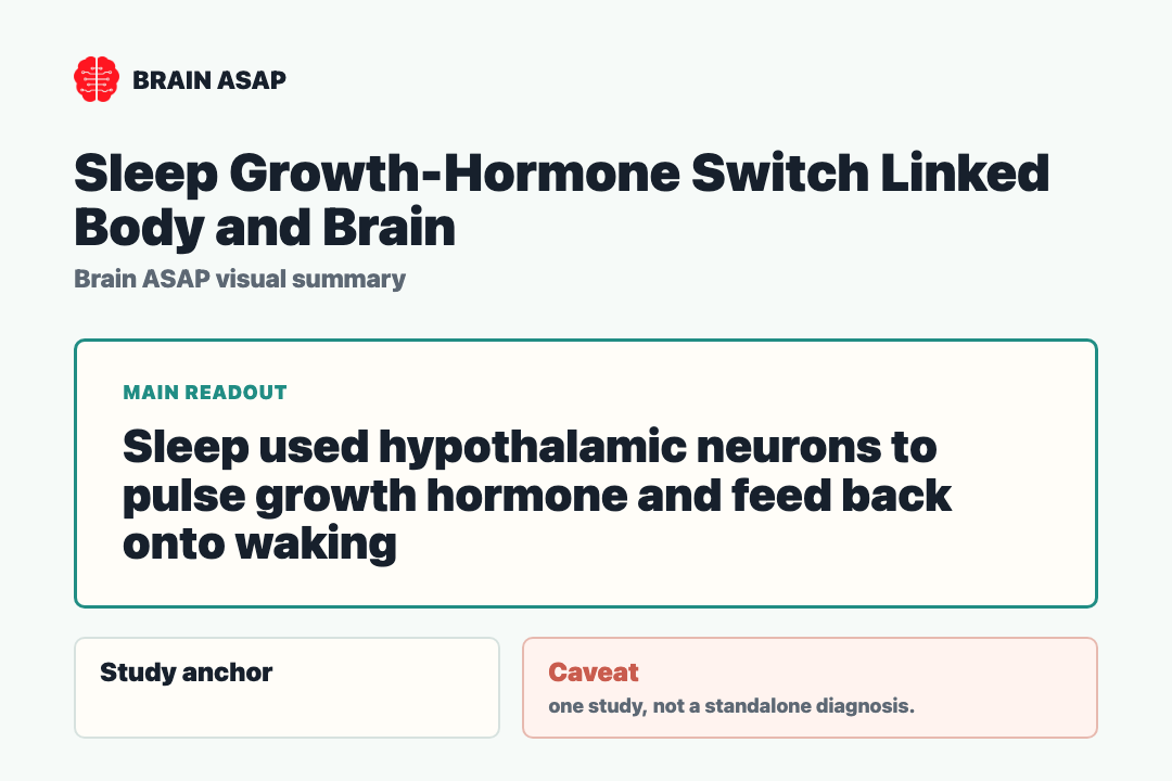 Brain ASAP visual summary for sleep growth hormone switch linked body and brain