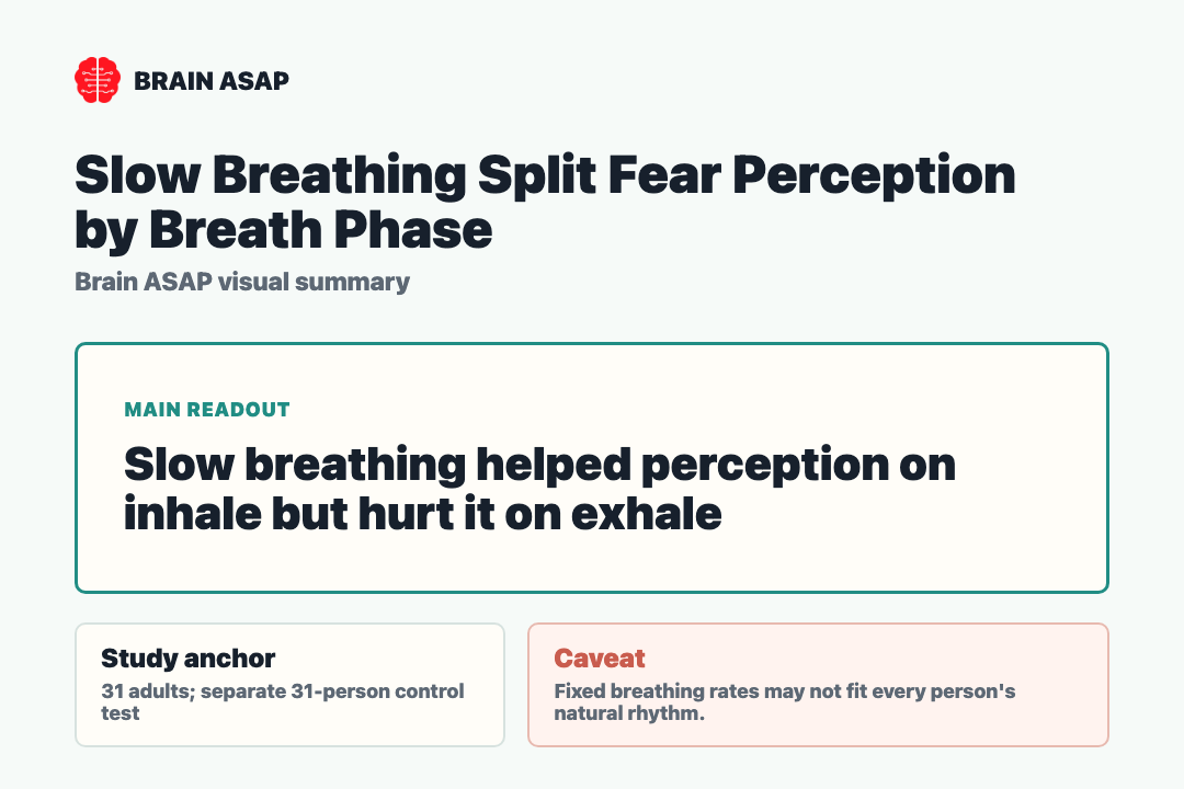 Brain ASAP visual summary for slow breathing and fear-face perception