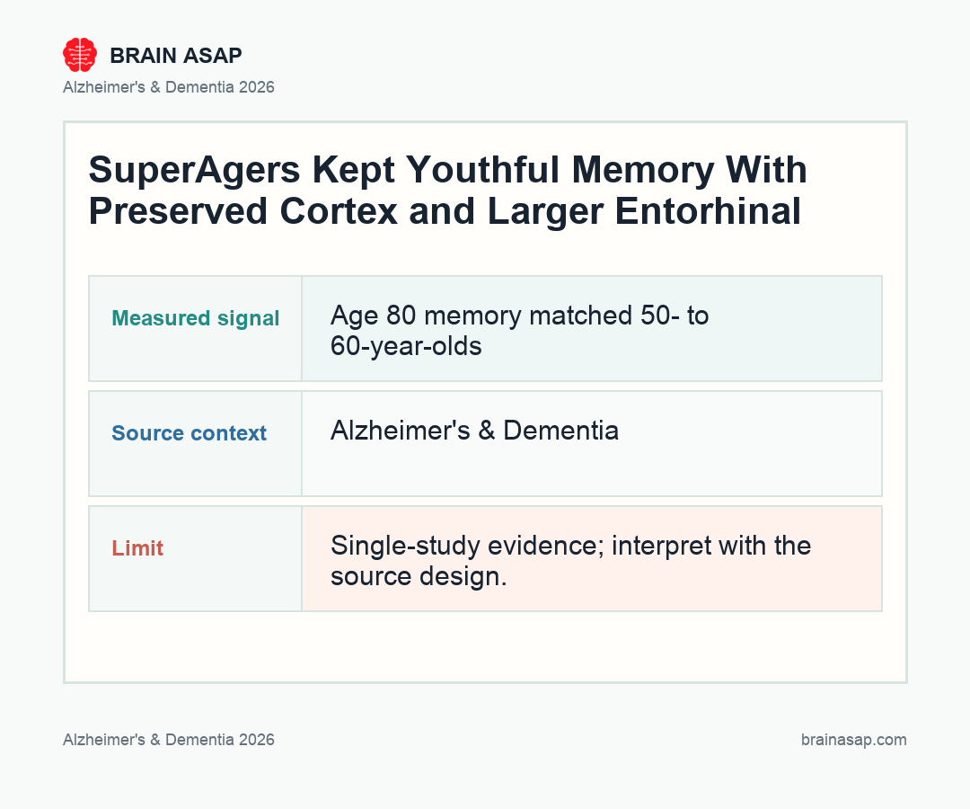 SuperAger brain profile vs typical aging and Alzheimer's