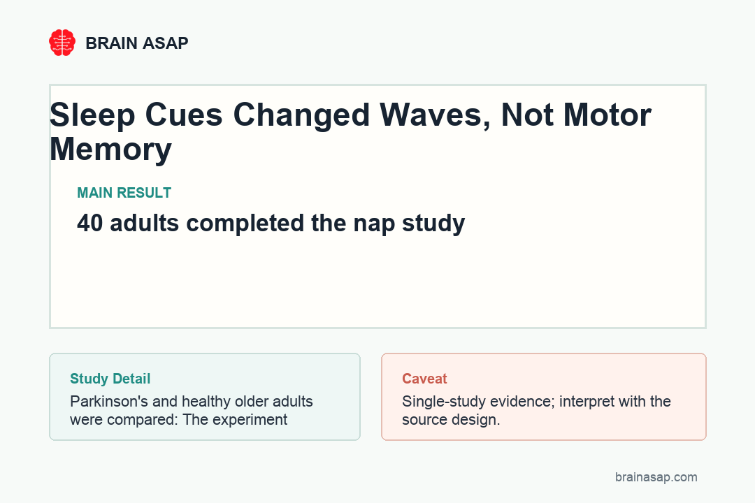 Simple table showing TMR did not improve motor retention but decreased spindle density and increased slow-wave density during sleep