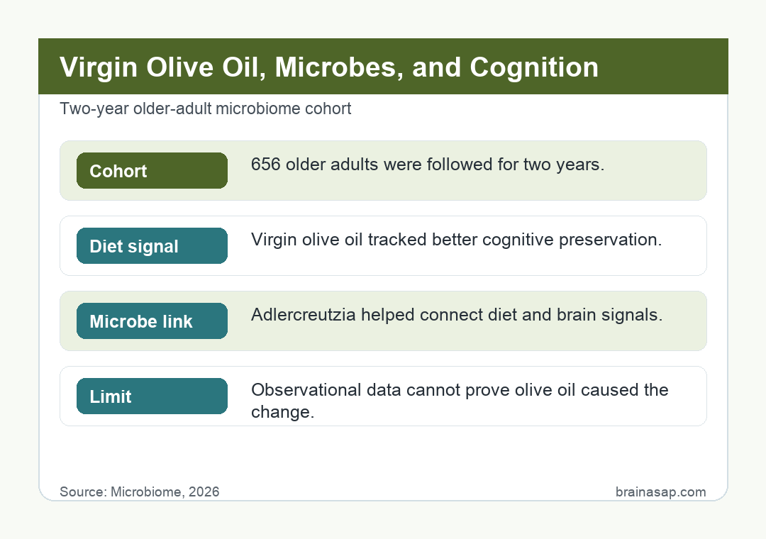 Brain ASAP visual summary for virgin olive oil linked gut microbes to cognitive preservation
